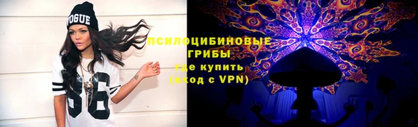 apvp Ростов