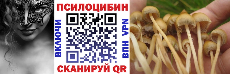 Купить где  Ряжск  Псилоцибиновые грибы ЛСД 